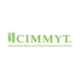 CIMMYT logo